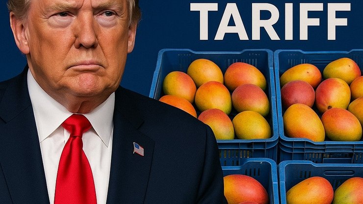 Tarifaço de Donald Trump acerta em cheio os produtores de manga