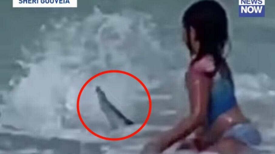 Menina estava no mar quando foi surpreendida pelo animal