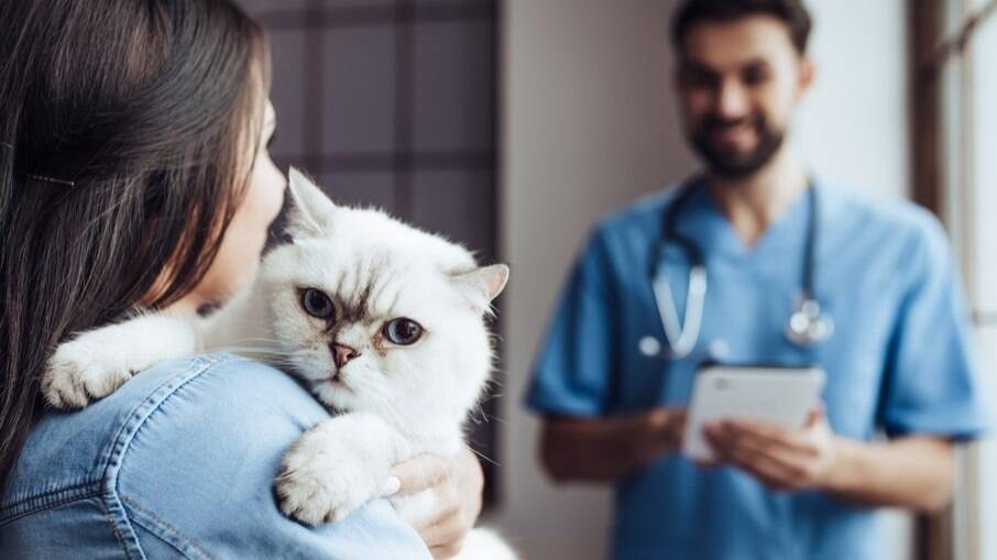 É importante realizar visitas preventivas ao veterinário 