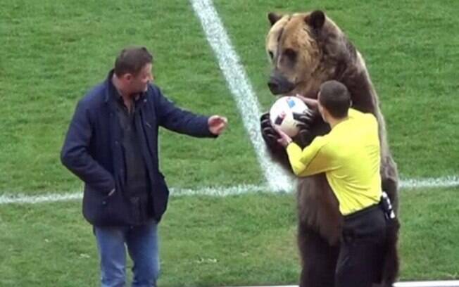 Urso marca presença em partida de futebol da terceira divisão do Campeonato Russo