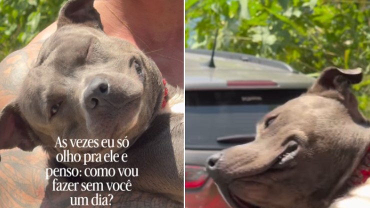 Com sorriso no rosto, cachorro volta da praia no colo do tutor