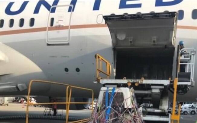 Companhia aérea fez confusão durante conexão em Denver e trocou os cães