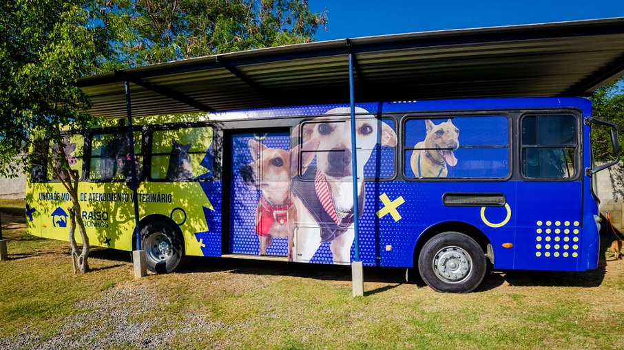 Ônibus adaptado com equipamentos cirúrgicos para castrações gratuitas de animais carentes