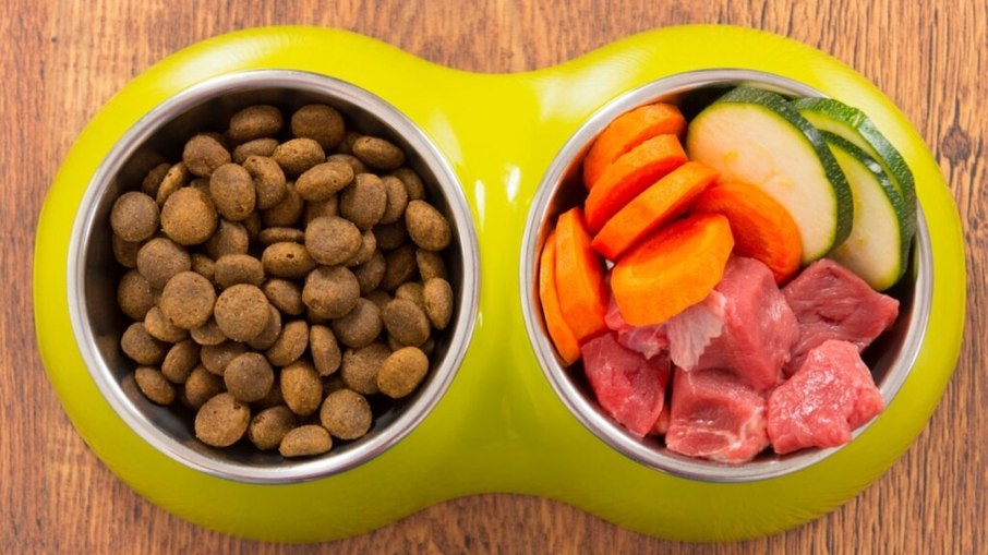 Veja como decidir entre ração e alimentação natural para o pet