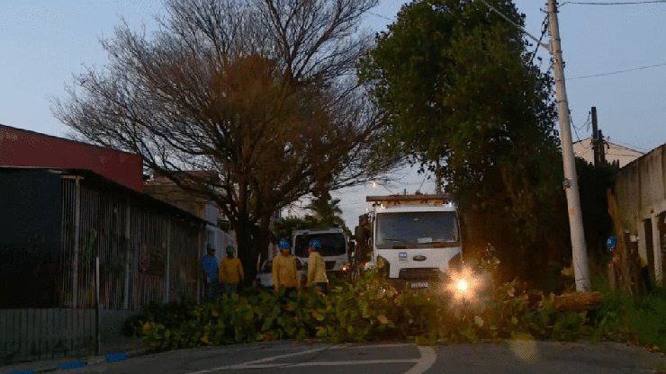 Campinas tem ventos, queda de árvores e frio antes de calorão