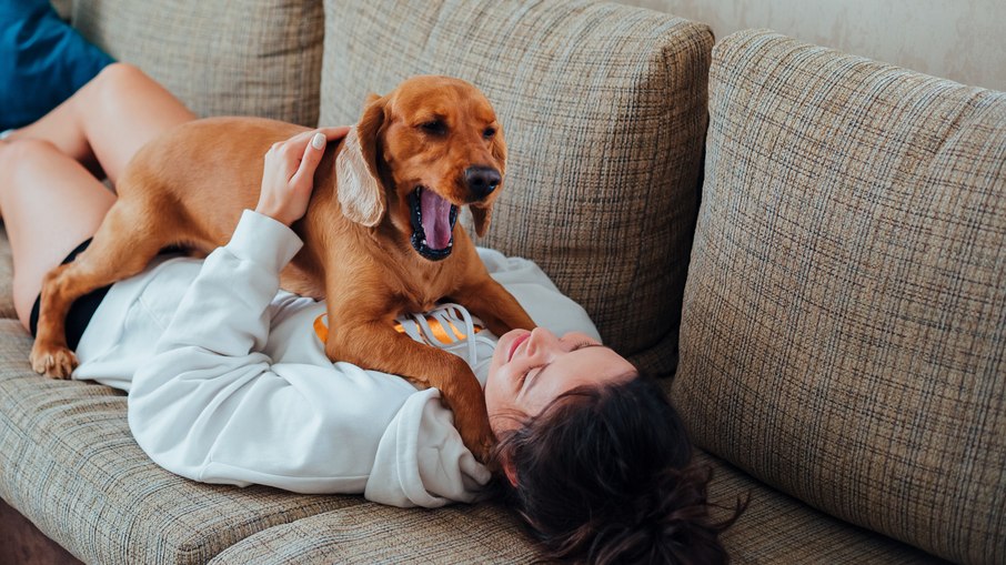Escolher um tecido resistente e adequado ao convívio com crianças e animais faz toda a diferença para a durabilidade do sofá. Escolher um tecido resistente e adequado ao convívio com crianças e animais faz toda a diferença para a durabilidade do sofá.