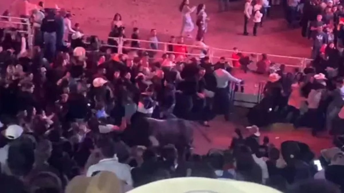 Touro no memento em que invadiu a arena onde estava o público que aguardava para assistir Ana Castela