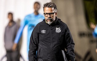 Quem assume o Santos? Veja os técnicos livres no mercado
