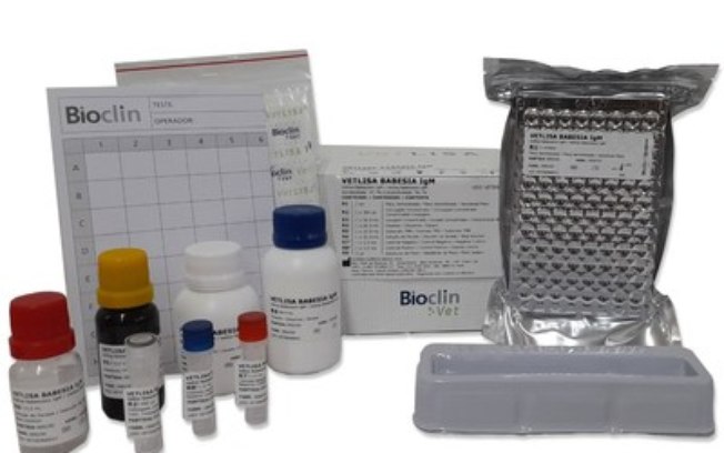 Doença do Carrapato: Bioclin Vet alerta para a importância da detecção de IgM e IgG