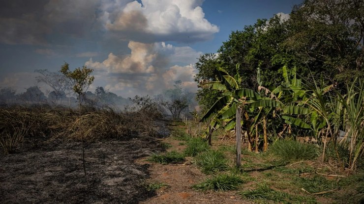 Estudo aponta risco de mudanças irreversíveis na Amazônia até 2040