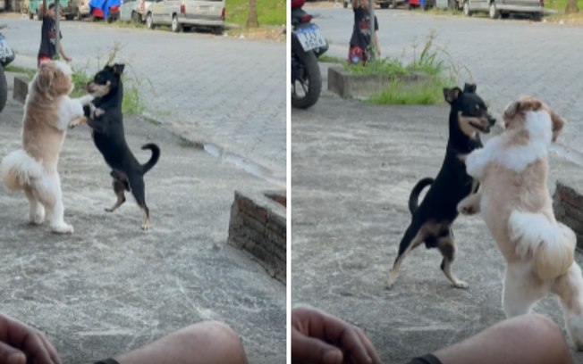 C34suwmv4gthwqh8rh5h8al48