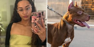 Estudante é morta por pitbulls que cuidava