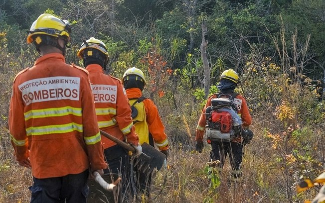 Em meio a seca histórica, bombeiros do DF diversificam estratégias contra incêndios florestais