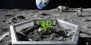Brasil estuda como plantar alimentos em outros planetas