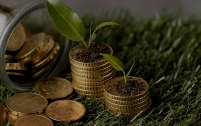 Quem decide o que são ESG e investimentos ecológicos?
