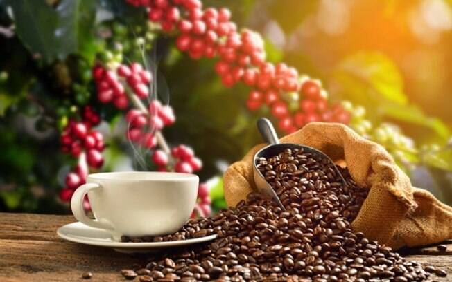 Agência cria linha de cafés especiais para rituais criativos