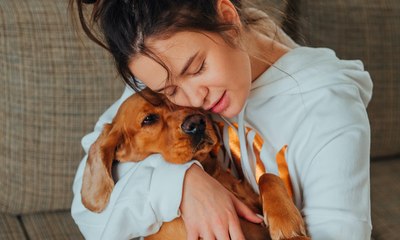 Veja 7 cuidados essenciais com cães durante o frio intenso