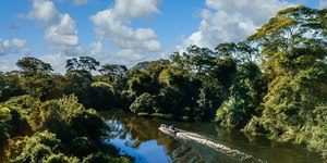 Desmatamento na Amazônia cai 11% em um ano