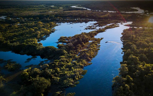 Crise climática, social e da biodiversidade estão interligadas