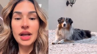 Vizinho critica Simone Mendes por falta de cuidado com o cachorro