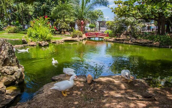 A cidade de Poços de Caldas, em Minas Gerais, tem muitos atrativos aos viajantes
