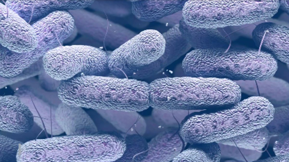 Bactéria sofre mutação inédita no espaço e ameaça a saúde humana