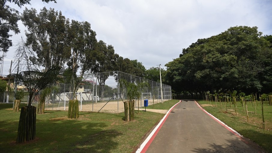Pista asfaltada para caminhada do Bosque da Paz