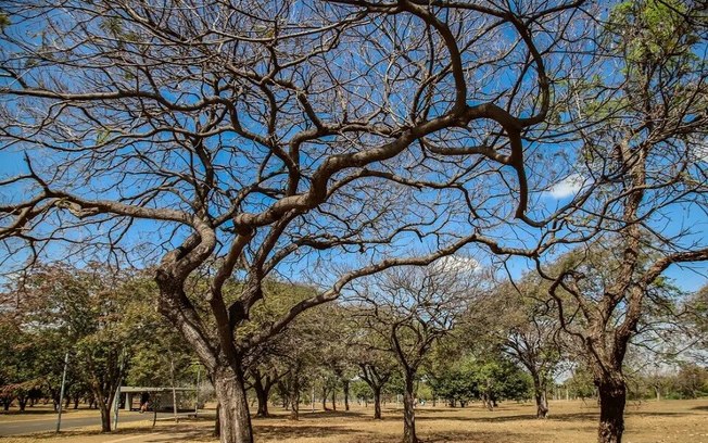 Inmet alerta sobre baixa umidade no Centro-Oeste