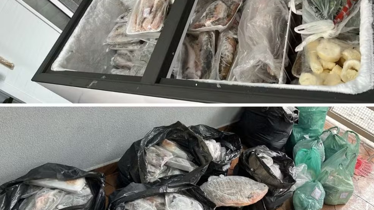 Venda irregular termina em apreensão de 215 kg de peixes e doação
