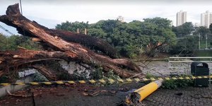 Defesa Civil de SP alerta para risco de temporais até domingo (9)