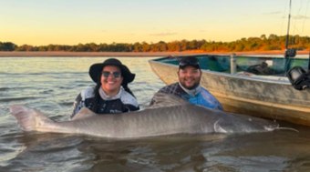 Guia%20de%20pesca%20captura%20pira%C3%ADba%20gigante%20em%20Lu%C3%ADs%20Alves%3B%20assista
