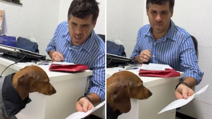 Salsicha%20faz%20cara%20de%20poucos%20amigos%20durante%20consulta