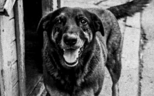 C7erxjzvzyz18q6s4g1gwnttm