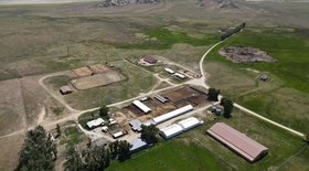 Atlético-MG anuncia mais dois reforços nesta quarta (21)