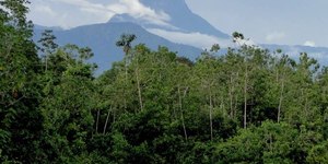 Brasil tem sim montanhas!
