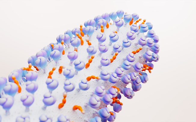 VSR: proteção para adultos 50  com comorbidade é aprovada