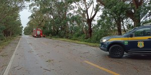 Temporais causam danos a 21 cidades no RS