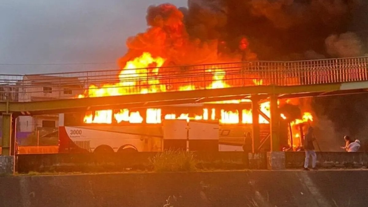 Emboscada da torcida do Palmeiras deixou um torcedor do Cruzeiro morto