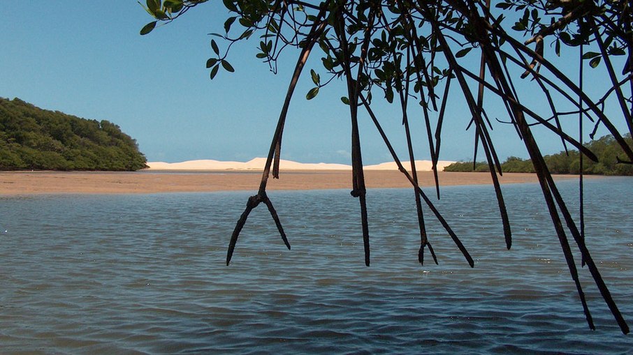 O Delta do Parnaíba fica nos estados do Piauí, Maranhão e  Ceará