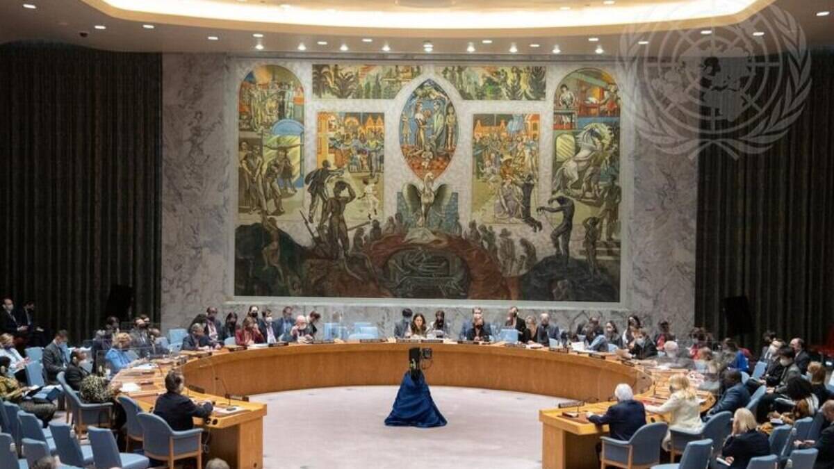 El Consejo de Seguridad de la ONU ha caducado, valora embajadora |  Mundo