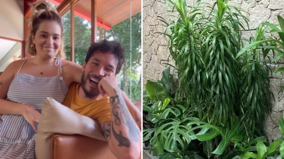 Viih Tube reage a banheiro com plantas em sua nova casa: 'Uma floresta para cagar'