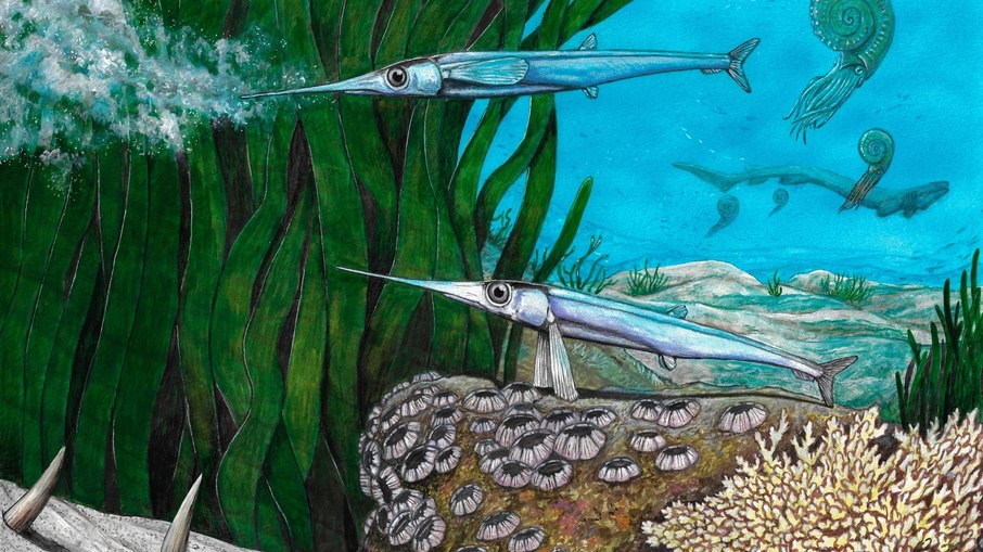 Reconstrução da vida de Antarctichthys longipectoralis