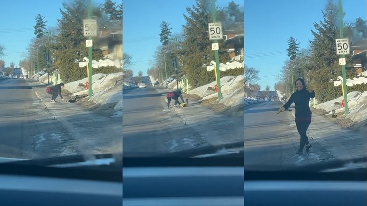 Mulher deixa medo de lado para salvar vida de um gambá em perigo