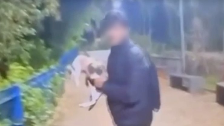 Vídeo: adolescente joga gata em rio no interior de São Paulo