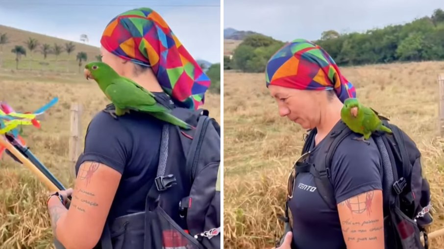 Peregrina relata encontro com maritaca no Caminho da Fé Peregrina relata encontro com maritaca no Caminho da Fé