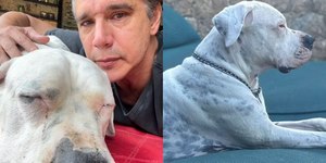 Márcio Garcia comove ao relatar doença de cachorro