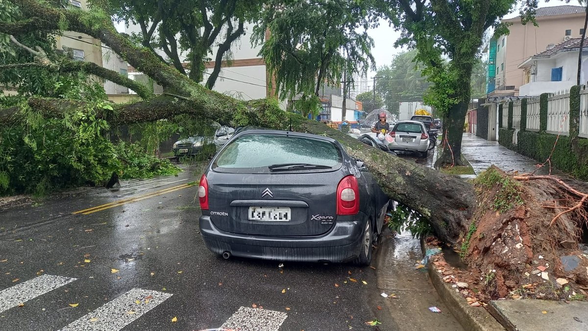 Carros foram atingidos por árvores em Santos Carros foram atingidos por árvores em Santos