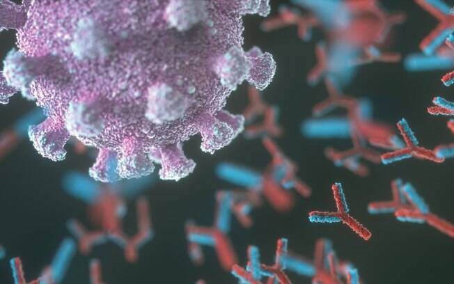 Covid: o que são os anticorpos vilões que podem provocar casos mais graves da doença