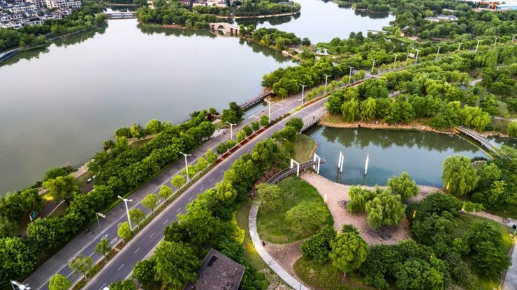 Cidades mais verdes: conectando a biodiversidade com o urbanismo