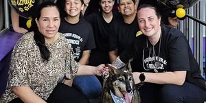 Sheik, cão de 16 anos, enfim encontra um lar após longa espera